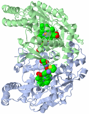 Image Asym./Biol. Unit