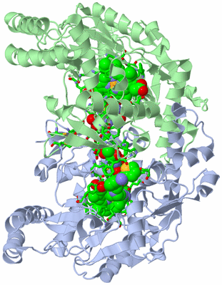 Image Asym./Biol. Unit - sites