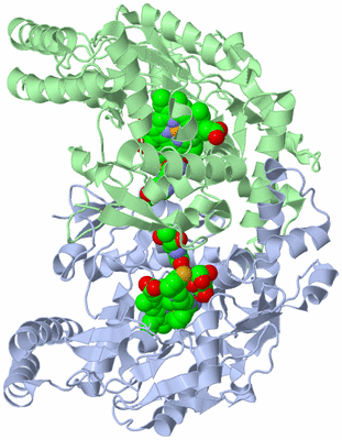 Image Asym./Biol. Unit