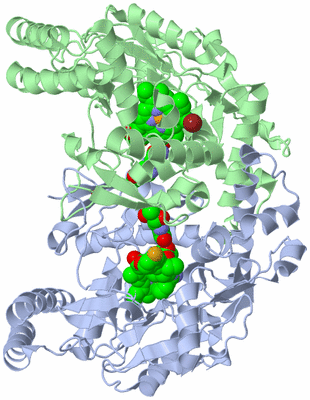 Image Asym./Biol. Unit