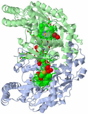 Image Asym./Biol. Unit - sites