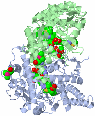 Image Asym./Biol. Unit