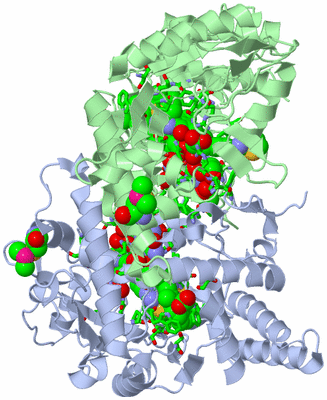 Image Asym./Biol. Unit - sites