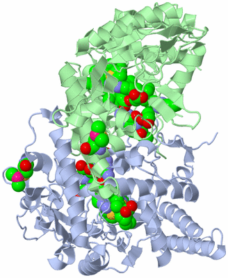 Image Asym./Biol. Unit