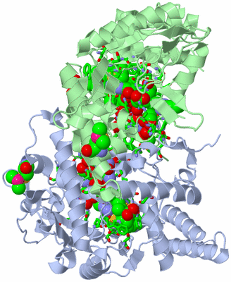 Image Asym./Biol. Unit - sites