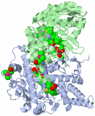 Image Asym./Biol. Unit