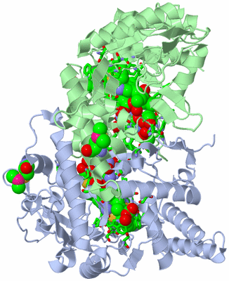 Image Asym./Biol. Unit - sites