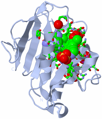 Image Biol. Unit 1 - sites