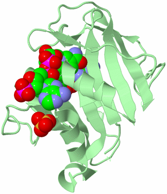 Image Biological Unit 2