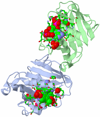 Image Asym. Unit - sites