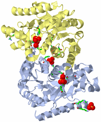 Image Biol. Unit 1 - sites