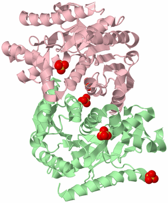 Image Biological Unit 2