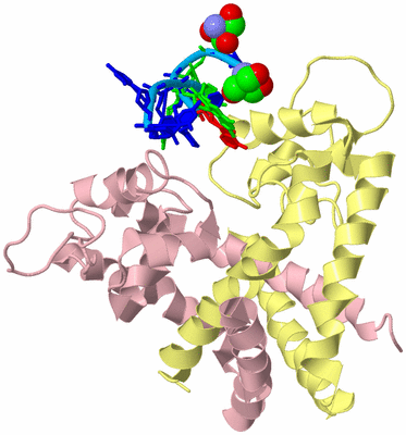 Image Biological Unit 2