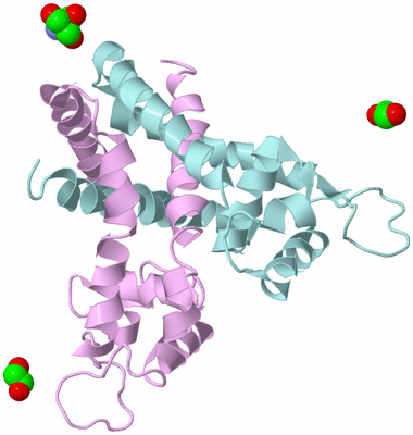 Image Biological Unit 3