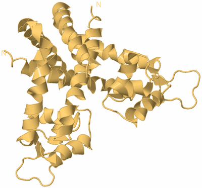 Image Biological Unit 4