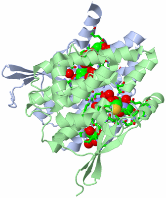 Image Asym./Biol. Unit - sites