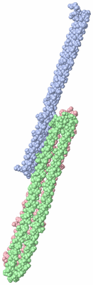 Image Asymmetric Unit