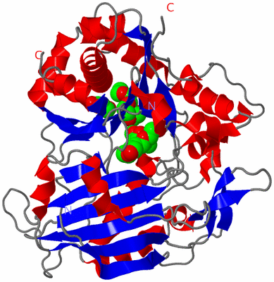 Image Asym./Biol. Unit