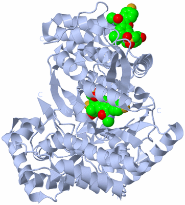 Image Biological Unit 1