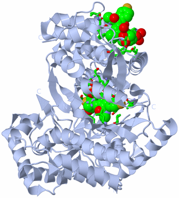 Image Biol. Unit 1 - sites