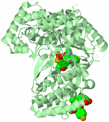 Image Biological Unit 2