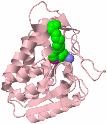 Image Biological Unit 3