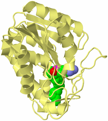 Image Biological Unit 4