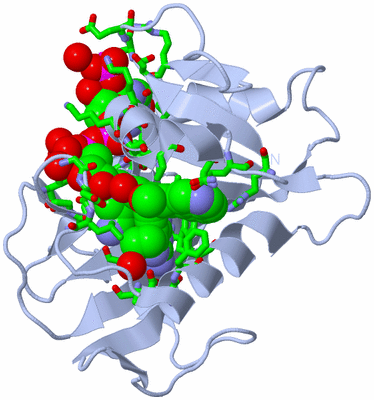 Image Biol. Unit 1 - sites