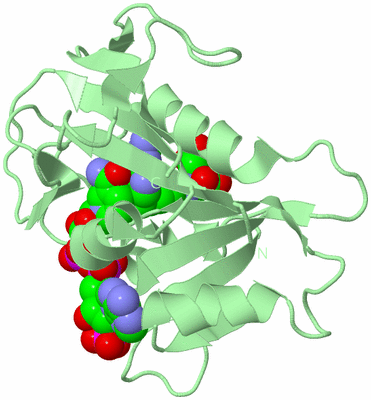 Image Biological Unit 2