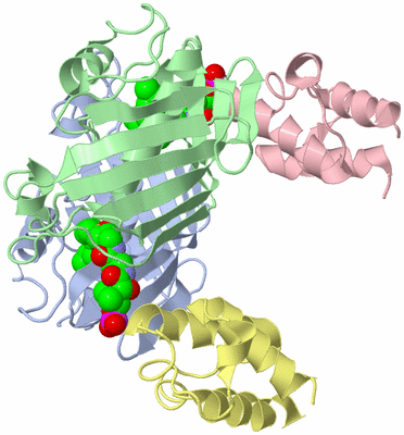 Image Asym./Biol. Unit