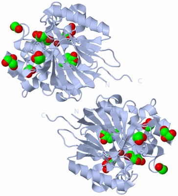 Image Biological Unit 1