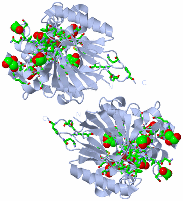 Image Biol. Unit 1 - sites