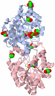 Image Biological Unit 1