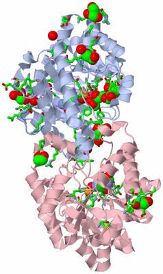 Image Biol. Unit 1 - sites