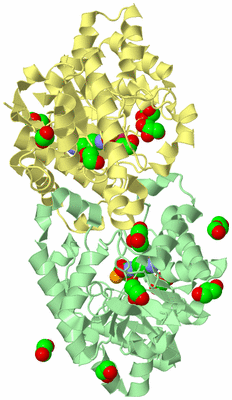 Image Biological Unit 2