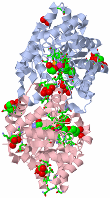 Image Biol. Unit 1 - sites