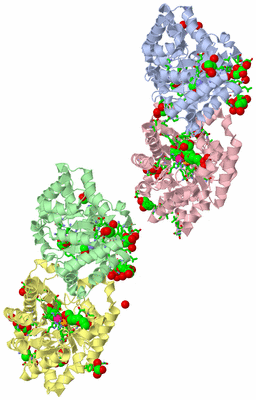 Image Asym. Unit - sites