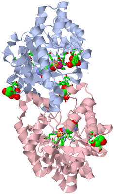 Image Biol. Unit 1 - sites