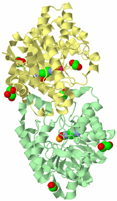 Image Biological Unit 2