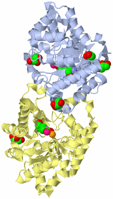 Image Biological Unit 1