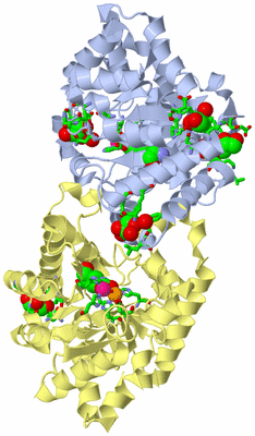 Image Biol. Unit 1 - sites