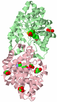 Image Biological Unit 2