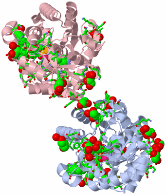 Image Biol. Unit 1 - sites