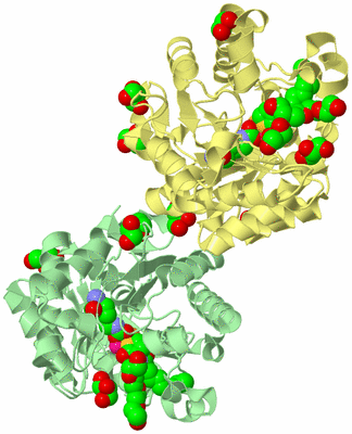 Image Biological Unit 2