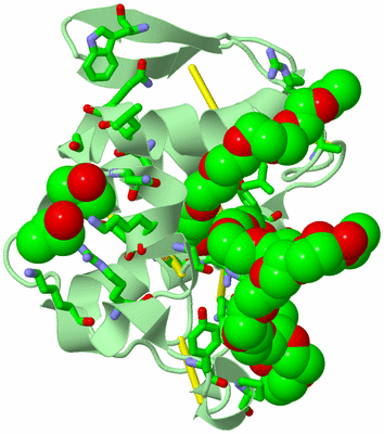 Image Biol. Unit 1 - sites