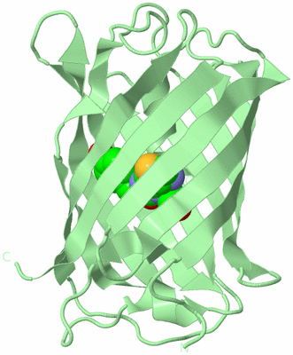 Image Biological Unit 2