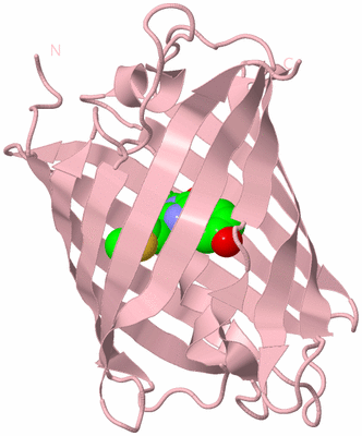 Image Biological Unit 3