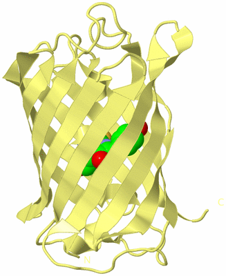 Image Biological Unit 4