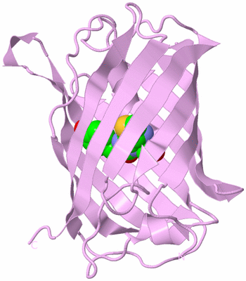 Image Biological Unit 5