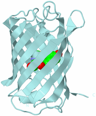 Image Biological Unit 6